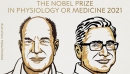 Hai nhà khoa  học đạt giải Nobel Y Sinh 2021