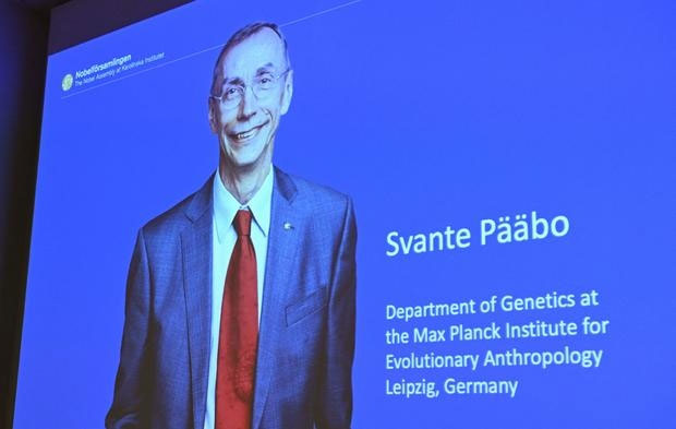 Tên của nhà khoa học Svante Pääbo được Ủy ban Nobel thông tin chiều 3/10