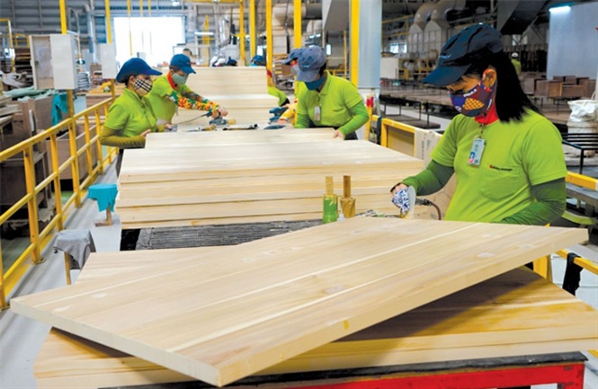 Sản xuất gỗ tại Bình Định
