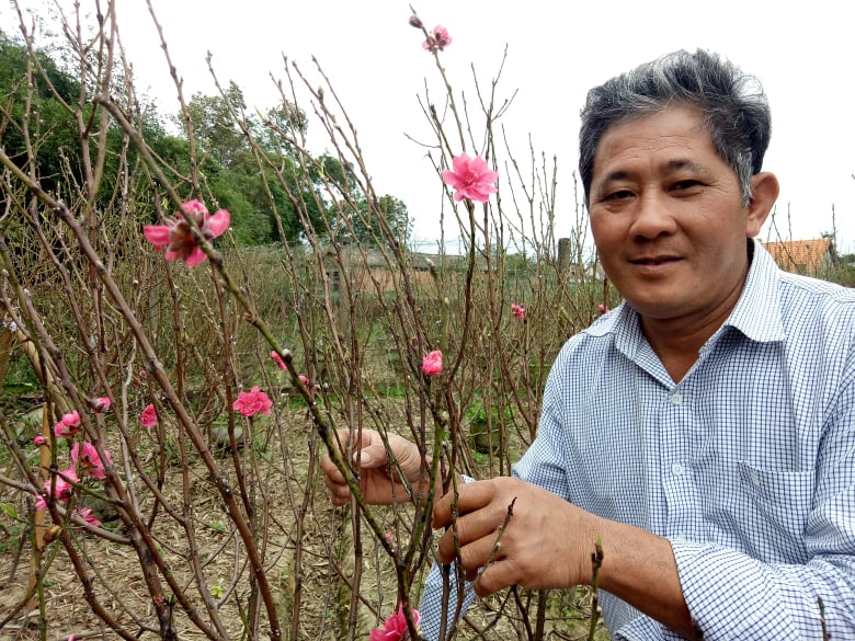 Anh Phạm Văn Tạo với hoa đào trong vườn nhà