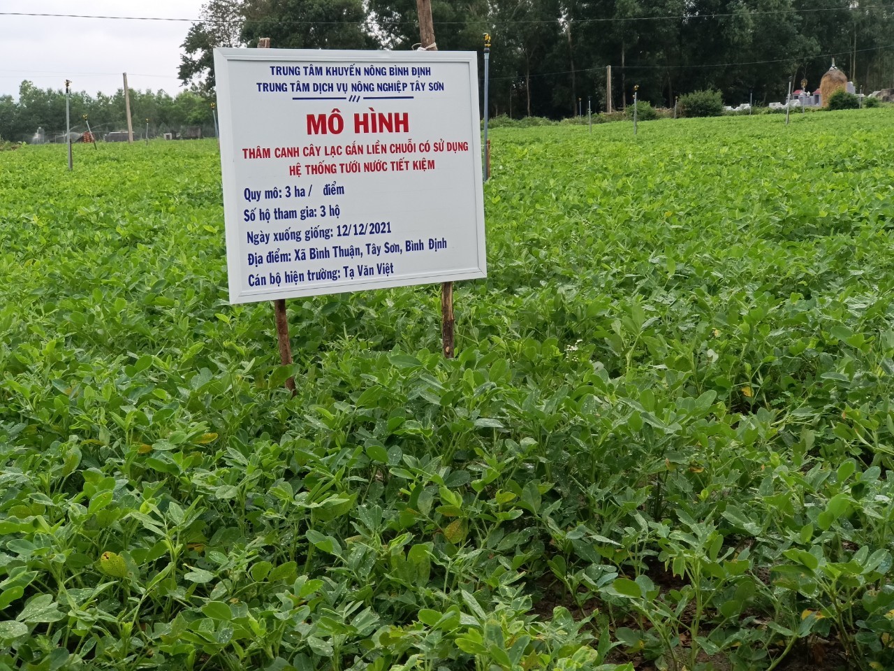 Công nghệ tưới tiết kiệm nước trong sản xuất nông nghiệp vùng đồng bào dân  tộc thiểu số tỉnh Ninh Thuận  Cổng thông tin Khoa học và Công nghệ