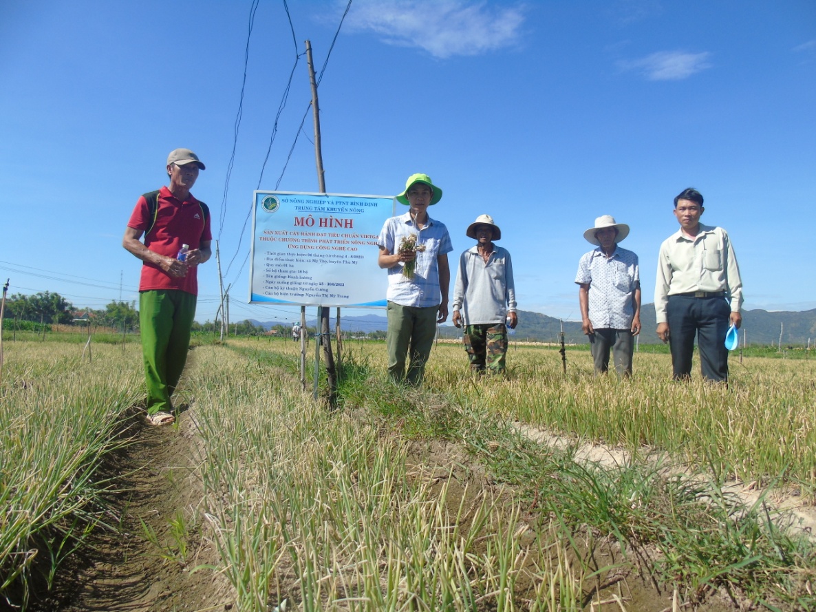 Đại biểu thăm quan mô hình sản xuất cây hành đạt tiêu chuẩn VietGAP