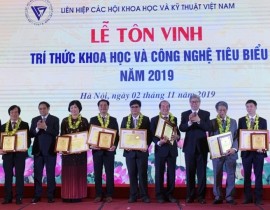 Co-Binh-ton-vinh-1.jpg